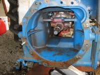 IMG_3814 (Medium).JPG