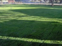 new lawn areas 001.jpg