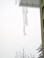 20090121_Frost0003.jpg