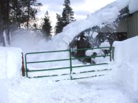 snow shedding E side barn DURING 2008.jpg