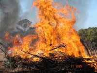 fire3.JPG