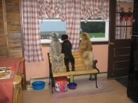 IMG_0102_1.jpg