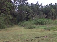 Fire Road South & Pasture.jpg