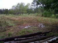 Old Garden & Orchard.jpg