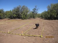 ranch 06 02 2011 010.jpg