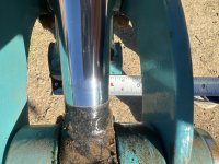 IMG_9246.jpeg