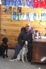 officedogs2.jpg
