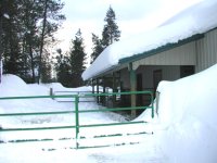 snow shedding e side BEFORE 2008.jpg