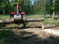 9-20-08 Tree trunks cut the backhoe way.jpg