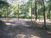Barn poles all but two cemented.jpg
