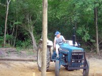 Brandi pulling barn poles 3.JPG