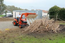 BX_pruning_10 (Medium).JPG