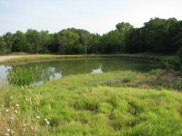 IMG_1180.JPG