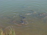 IMG_1198_exposure.JPG