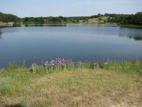 IMG_1204.JPG