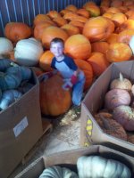 pumpkins 004.jpg