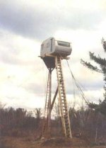 494028-treetrailer (410 x 571).jpg