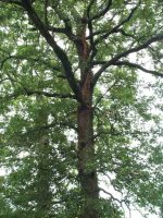 447401-Untitled-3.jpg