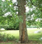 447402-Untitled-4.jpg