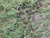 447410-Untitled-15.jpg