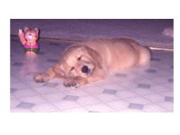 356894-alex3a.jpg