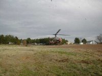 356909-Gazelle landing resize.jpg