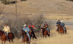 357033-1-1-04 coyote ride2.jpg