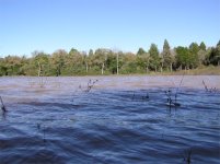 537517-pondfull.jpg