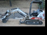 447589-Bobcat thumb.jpg