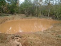 537521-Pond, full, Nov 04.jpg