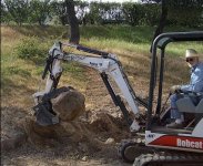 447591-picking up rock.jpg