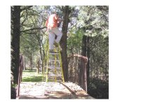 537528-hangflag2.jpg