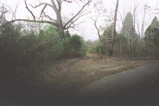 357095-02_0A.jpg