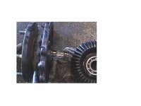 537763-Tractor 1.JPG