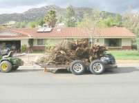 404521-Trailer-Loaded-With-Tree-De.jpg