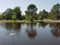 404529-pond11-040404.jpg