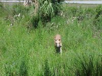 404616-pond10-040404.jpg