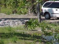 404637-pond5-040404.jpg