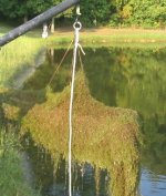 495193-rake lift from pond.jpg