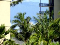 404843-Maui.jpg