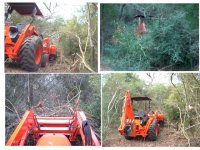 357533-brushclearing.jpg