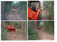 357535-bushroad.jpg