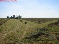 495737-IMG_1526.JPG