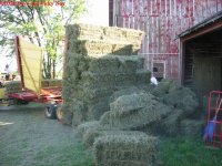 495742-IMG_1547.JPG