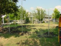 496107-Image011.jpg