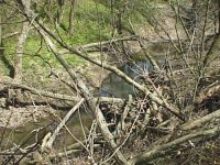 405914-Creek3.jpg