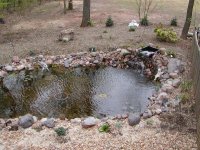 448708-pond2.jpg