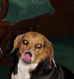 415941-405957-Sadie May 1999.jpg