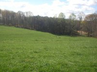 577755-pasture3.jpg