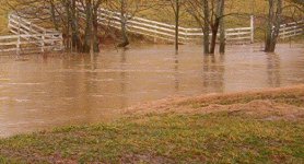 358018-Flood15.jpg